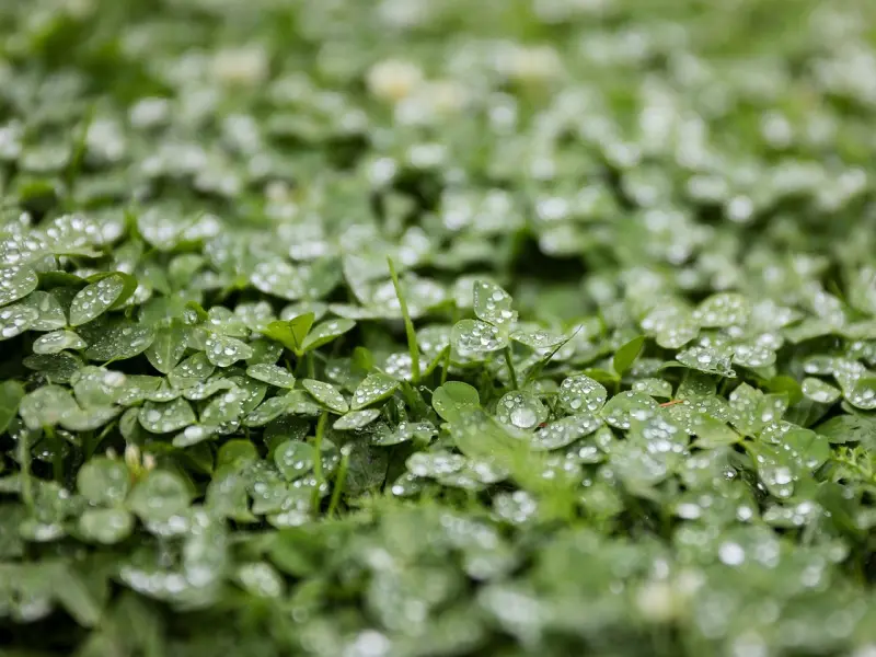 如何让前任回心转意，你只需要提升这三点