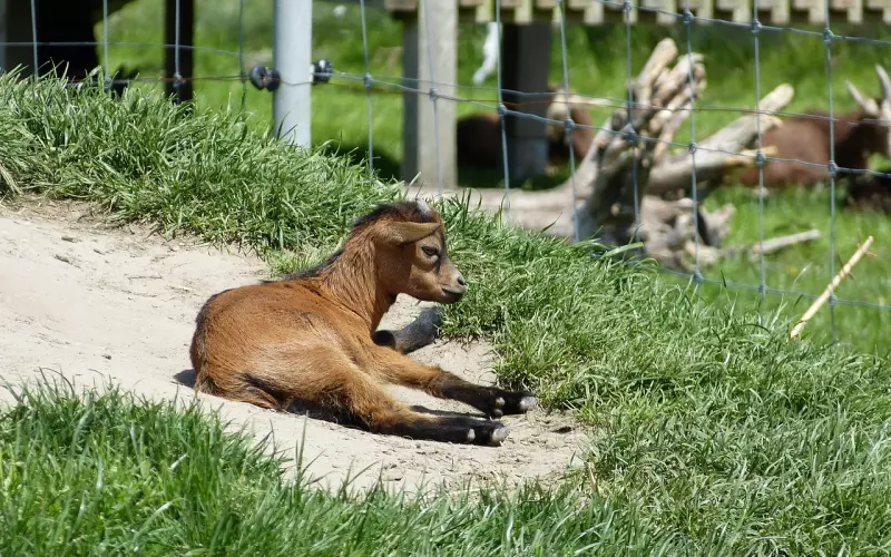 怎么让老公变得有责任心