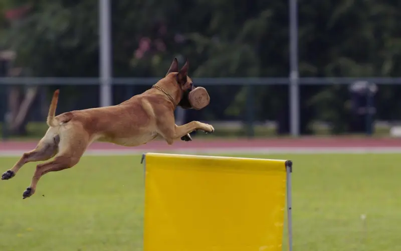如何克服「舍不得」？