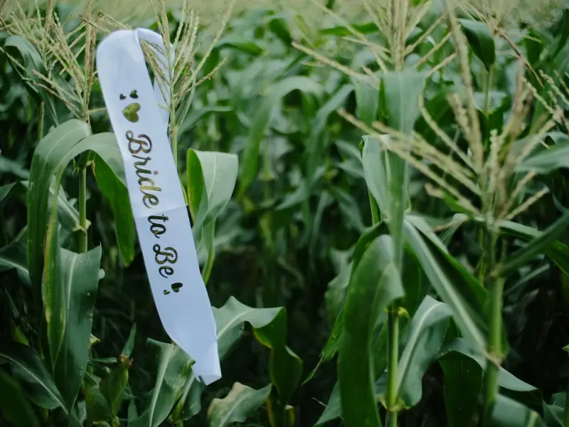 异地要怎么挖墙脚