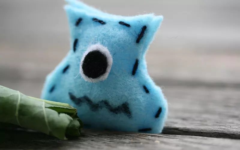 怎么挖墙脚不被人讨厌