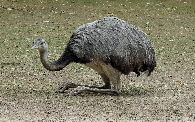 如何预防男友说分手？爱情这三大雷区不能踩！