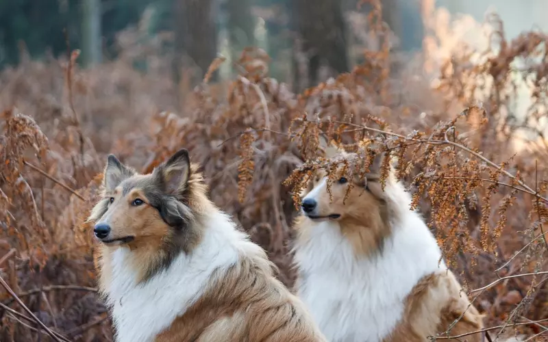 挽回过程中，应该如何跟前任聊天才恰当
