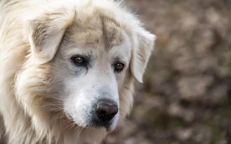 如何恰当跟现任聊前任而不踩雷？