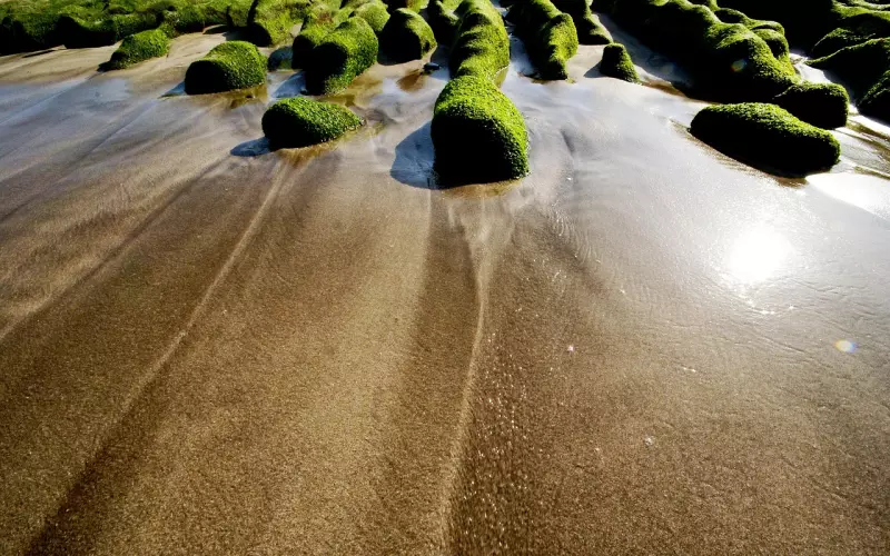 挽回过程中如何提复合(挽回时有哪些误区要注意挽回攻略)