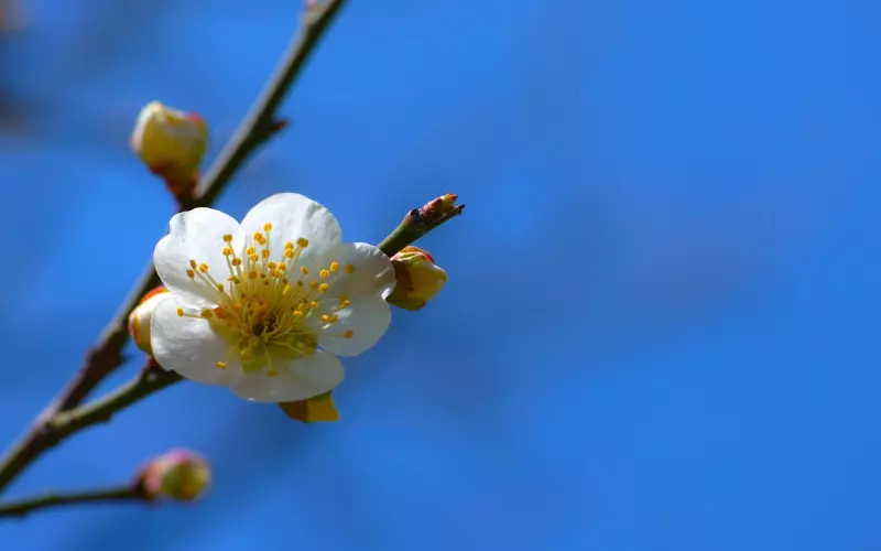 挽回中，如何快速拉升自己的尊严（福利文）