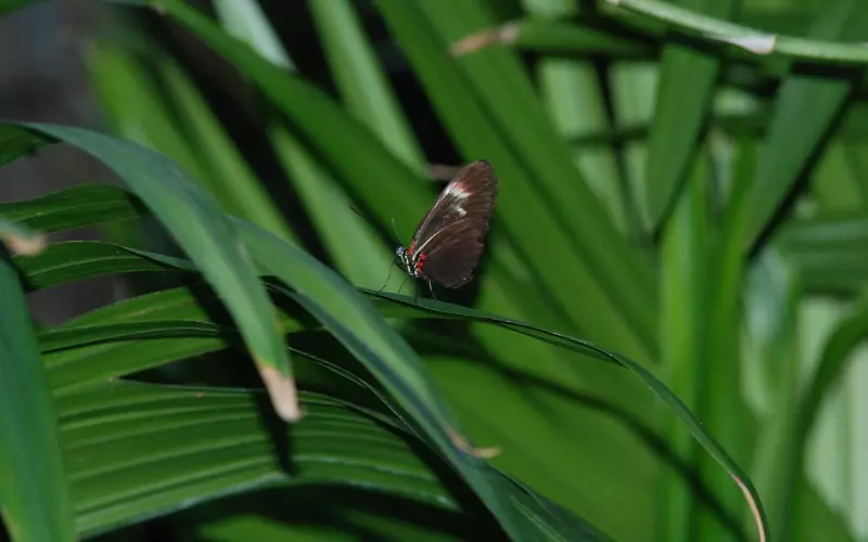 如何快速挽回处于冷淡期的爱情？