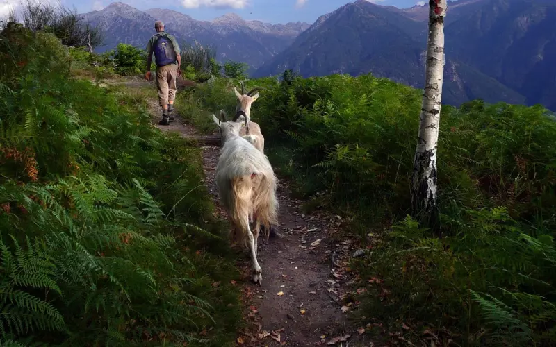 挽回的路上如何复联