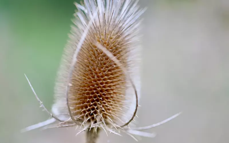 伤透了的心怎么挽回