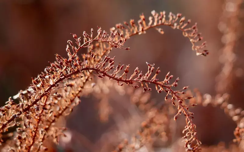 伤透了的心怎么挽回