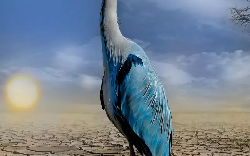 被伤透了的心怎么挽回