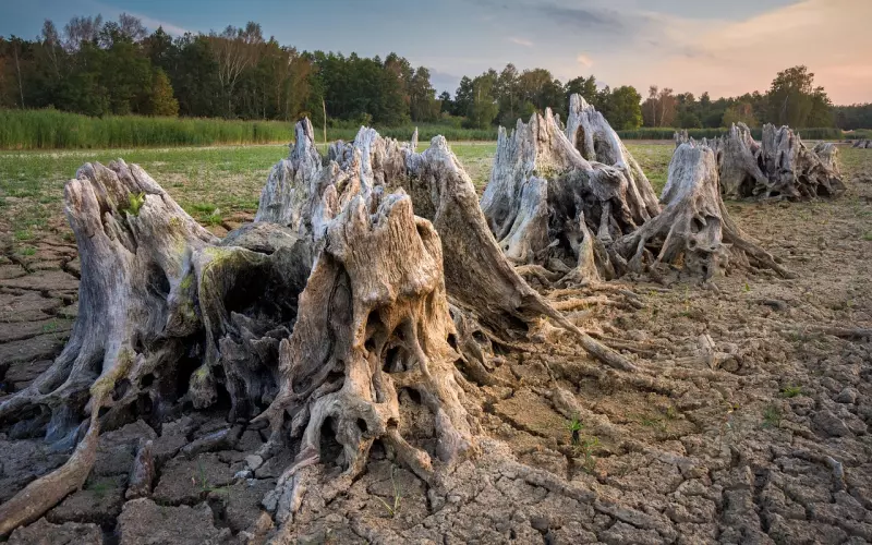 伤透了男人的心如何挽回