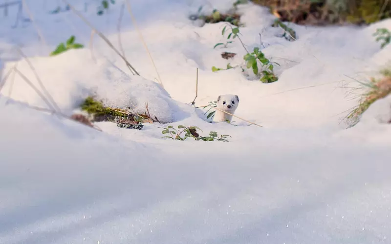 女生对男生彻底失望了咋挽回  支招挽回的方法