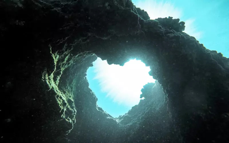 如何挽回被自己伤很深的心