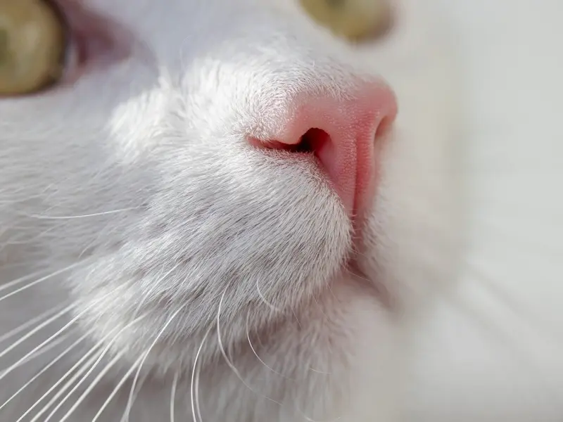 坚持离婚的老公怎么挽回：老公离婚还值得挽回吗？该怎么挽回?