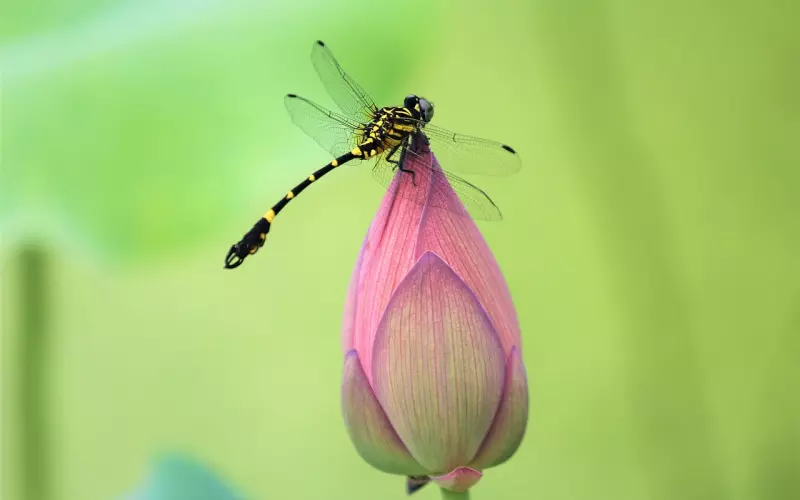 挽回恋情公司处理方法(办公室女人提分手怎么挽回)