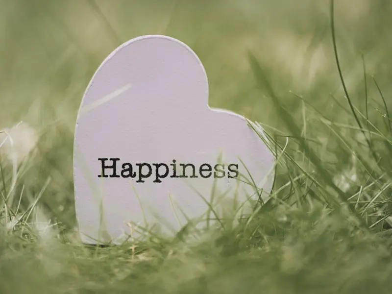 对婚姻失望的老婆该如何挽回：教你挽救婚姻不离婚的智慧