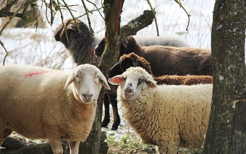 分手后怎样挽回之挽回白羊男友的最好方式