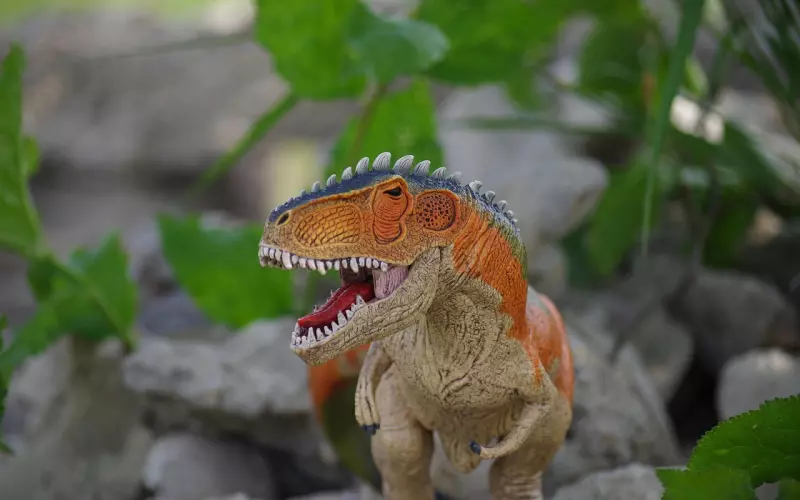 分手后如何挽回，这个方法最有效