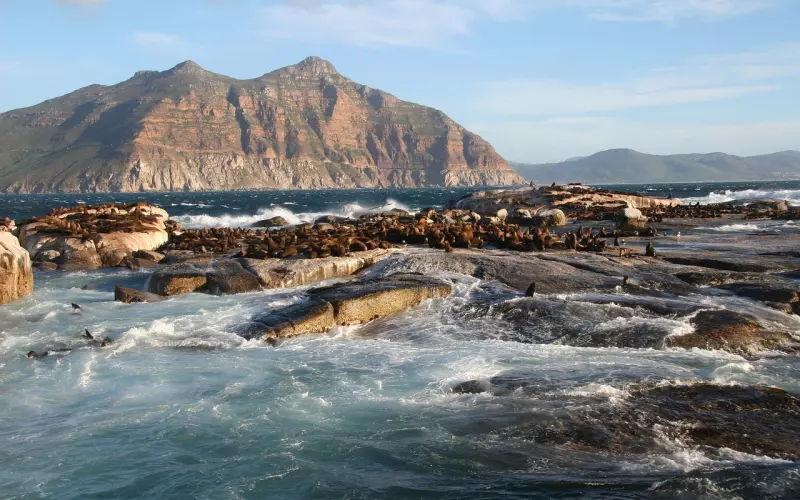 分手后怎么挽回 花镇小编告诉你