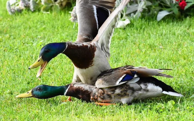 情侣吵架后分手要如何挽回