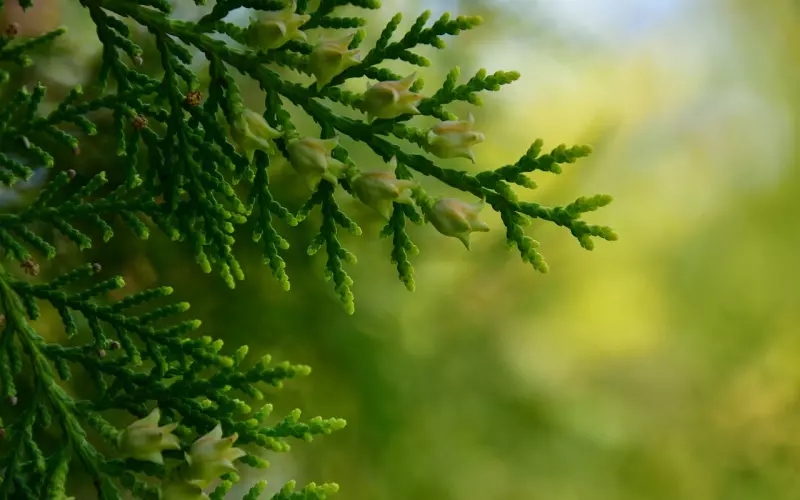 当表白失败后怎样挽回(情感表白失败后如何挽回)