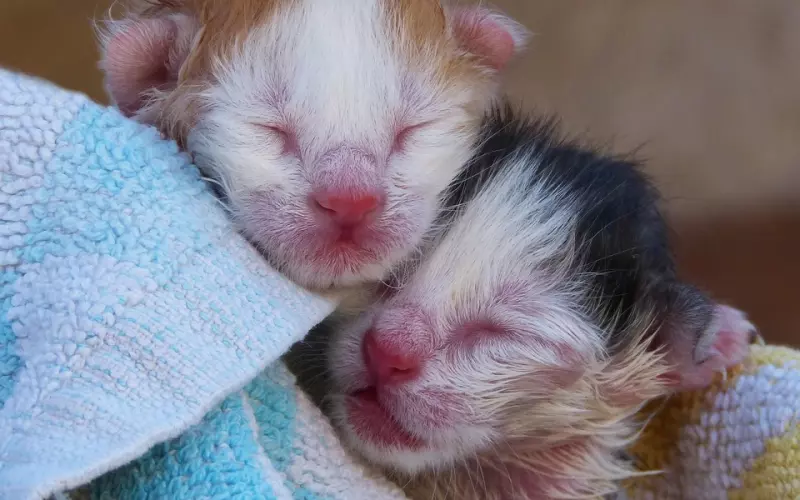 刚分手怎么挽回