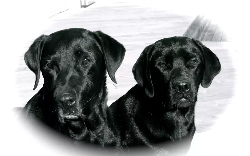 分手被拉黑删好友后怎么挽回