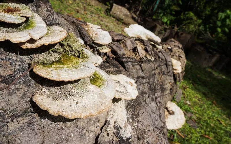 死缠烂打之后怎么挽回