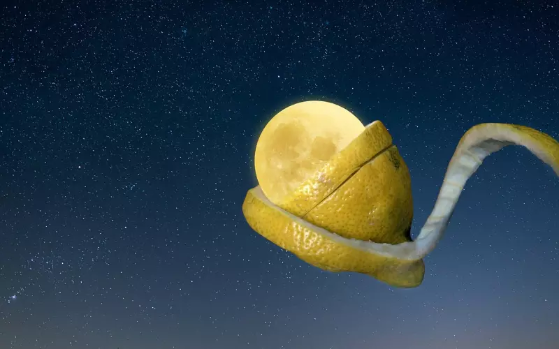 被现实分开应该怎么挽回