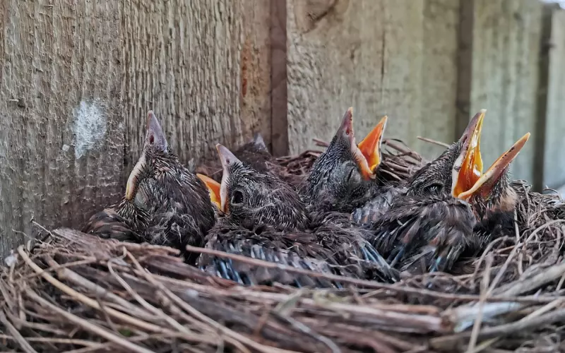 被拉黑微信怎么重新挽回