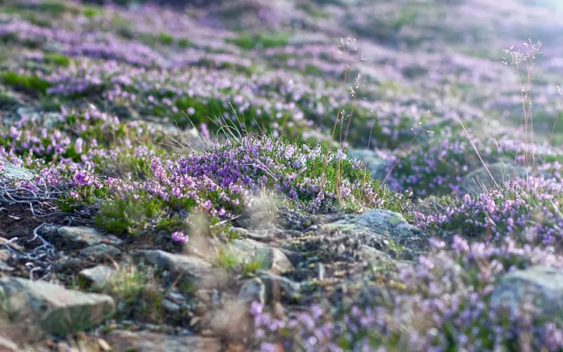 分了伤得很深怎样挽回