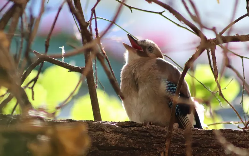 和男朋友分手了怎么挽回？死缠烂打求抱抱？