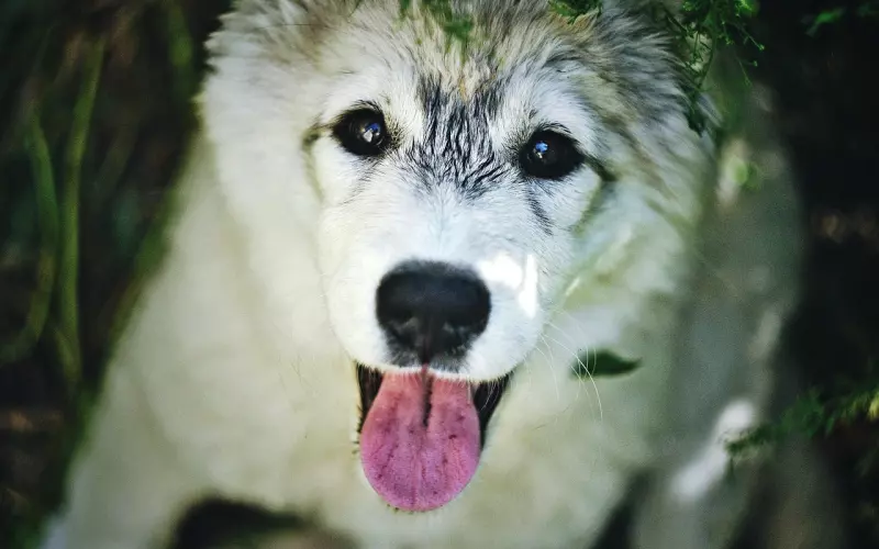 把对方删除怎么挽回