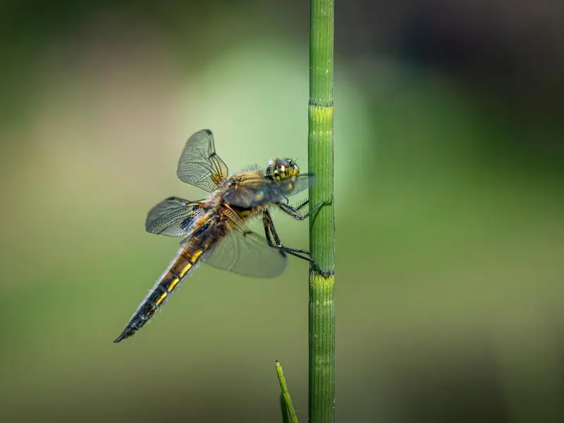 发现老公出轨怎么挽回，四招挽回婚姻