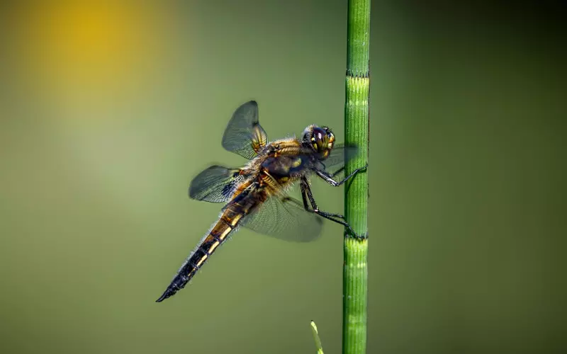 发现老公出轨怎么挽回？四招挽回老公的心