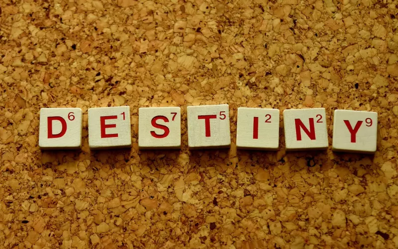 发现老公有外遇后如何挽回？与其两人痛苦，还不如各寻幸福