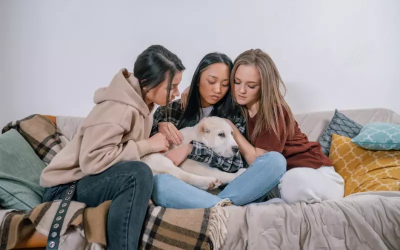 发现老公暧昧了怎么挽回(发现老公暧昧该怎么挽回)