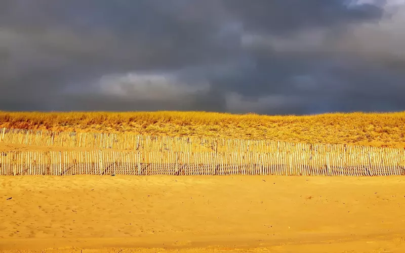 纠缠过后怎么挽回