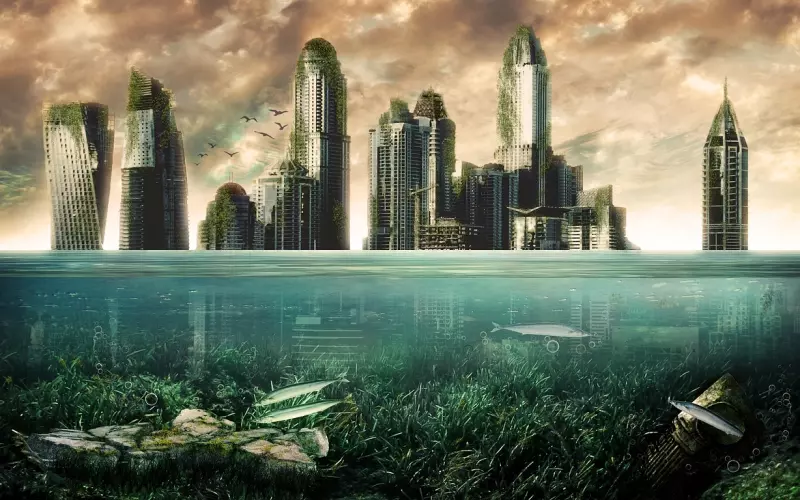 纠缠之后如何挽回