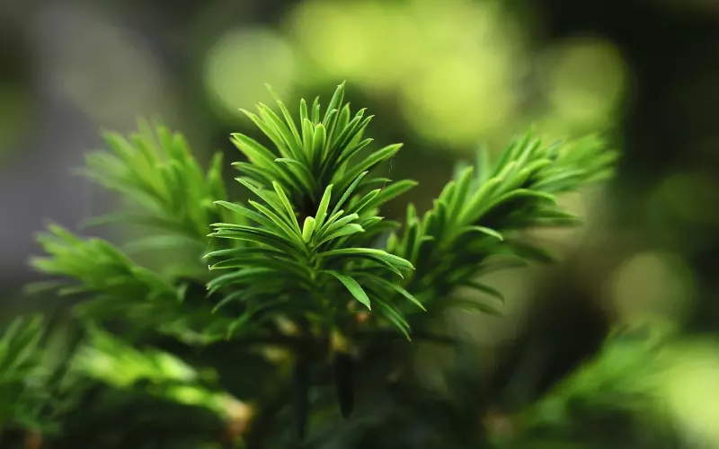 发了一次信息不回了该怎么挽回