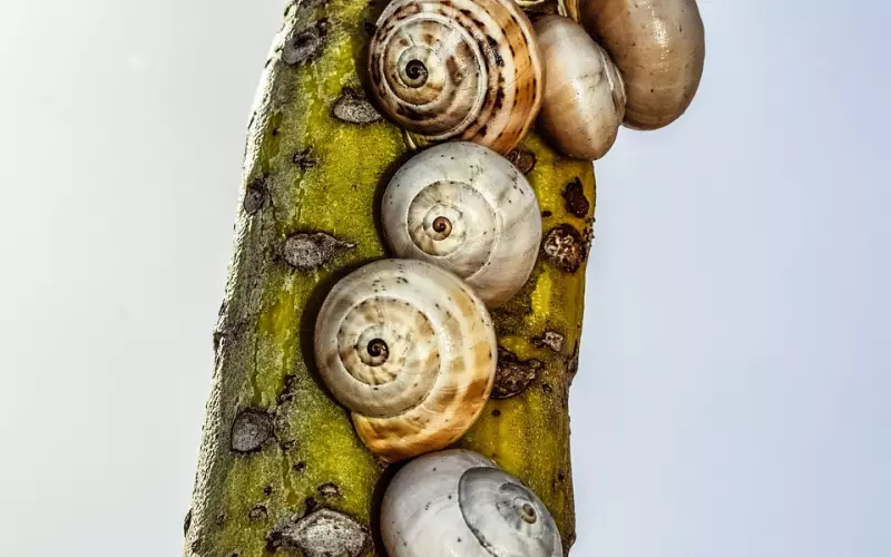 同居之后感情变淡怎么挽回