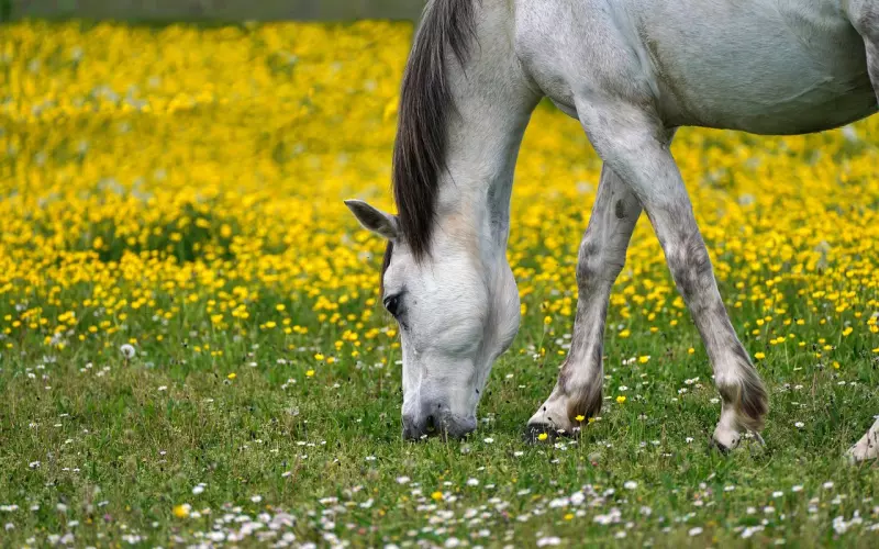 老公出轨后该如何挽回？4种情感修复方法帮你重建亲密关系