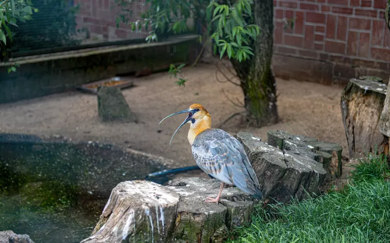 面临分手如何挽回？