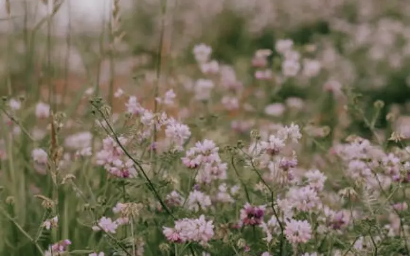 跟男朋友闹分手断联怎么挽回(因太思念而分手怎么挽回)