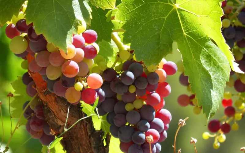 和男友要分手了怎么挽回？