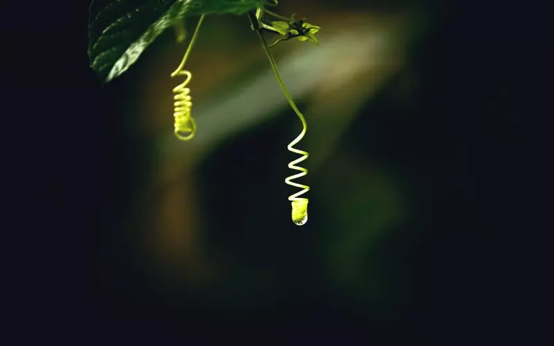 因为性格不合导致分手该如何挽回？