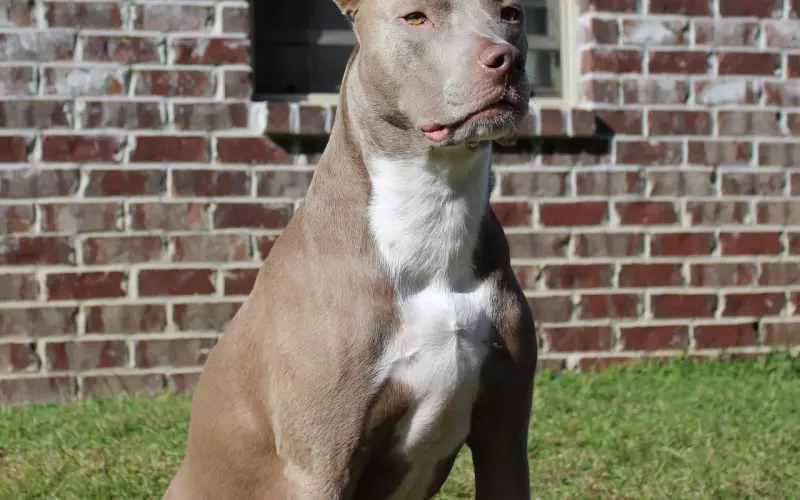 分手之后撕破脸该如何挽回？