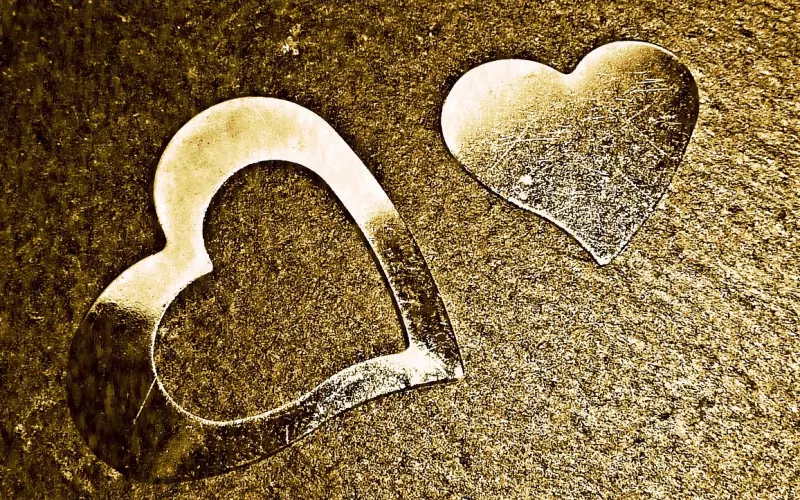 在爱情里被伤了心如何挽回