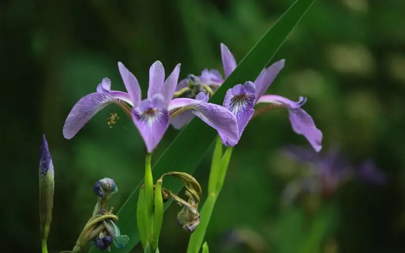 多年感情男友要分手怎么挽回？